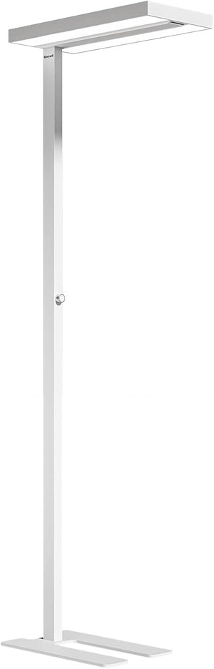 LED Floor Lamp with Eye Protection & Dimmer