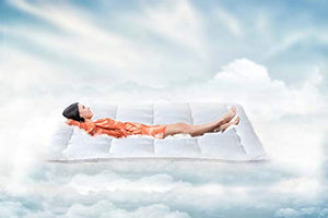 2-Inch Mattress Topper - Down Alternative Pillow Top