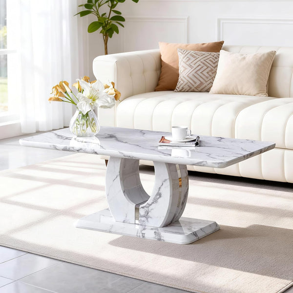 Modern Rectangle Coffee Table with Storage