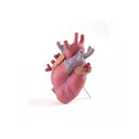 Transparent Heart-Shaped Porcelain Vase