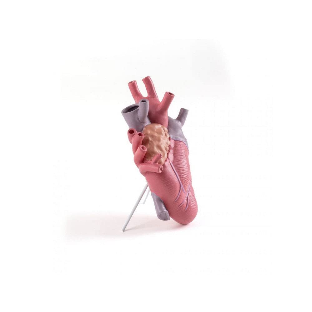 Transparent Heart-Shaped Porcelain Vase