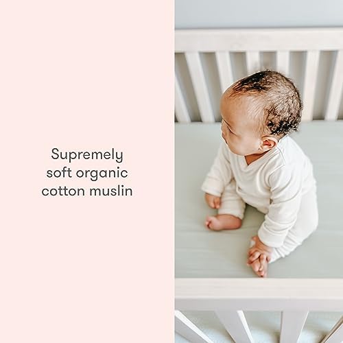 Organic Cotton Fitted Crib Sheet 2-Pack