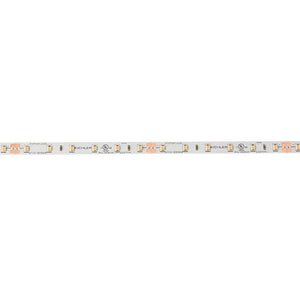 24V LED Tape Light – 100ft Standard Output Strip Light