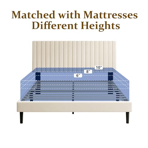 Queen Size Velvet Upholstered Platform Bed Frame