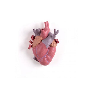 Transparent Heart-Shaped Porcelain Vase