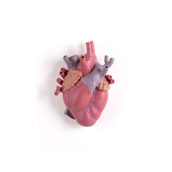 Transparent Heart-Shaped Porcelain Vase