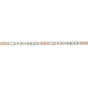 24V LED Tape Light – 100ft Standard Output Strip Light