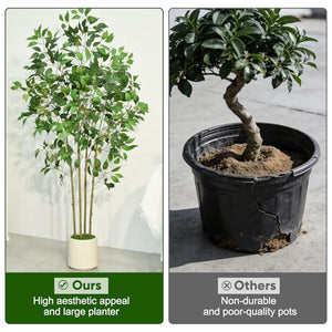 6 ft Artificial Ficus Tree with White Planter