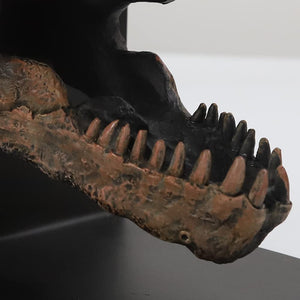 T-Rex Skull Decorative Bookend
