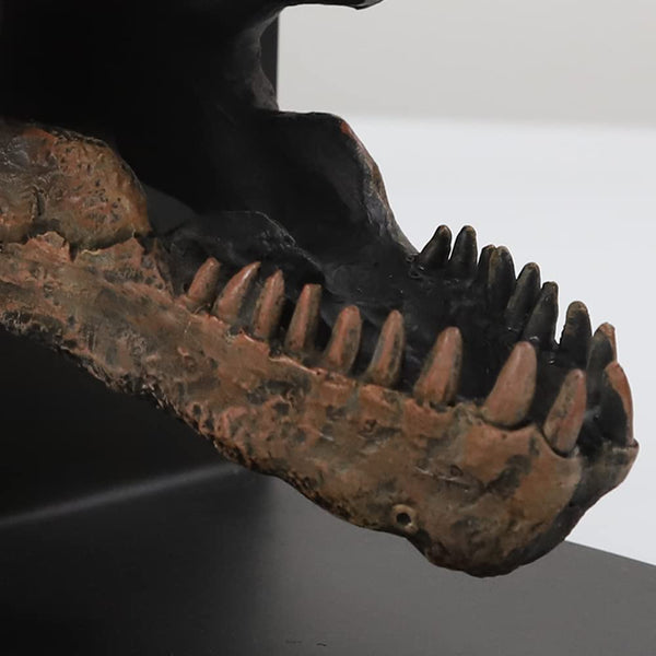 T-Rex Skull Decorative Bookend