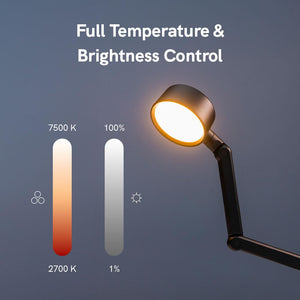 Rechargeable Cordless LED Desk Lamp with Wireless Charger
