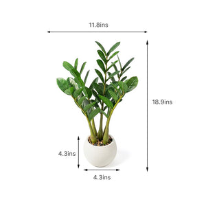 Artificial ZZ Plant in Pot – Set of 2