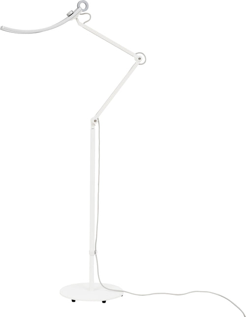 e-Reading Floor Lamp – Dimmable, 13 Color Modes, Adjustable Arm, Matte Silver