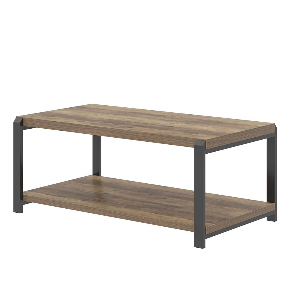 Industrial Rectangle Coffee Table with Storage Shelf