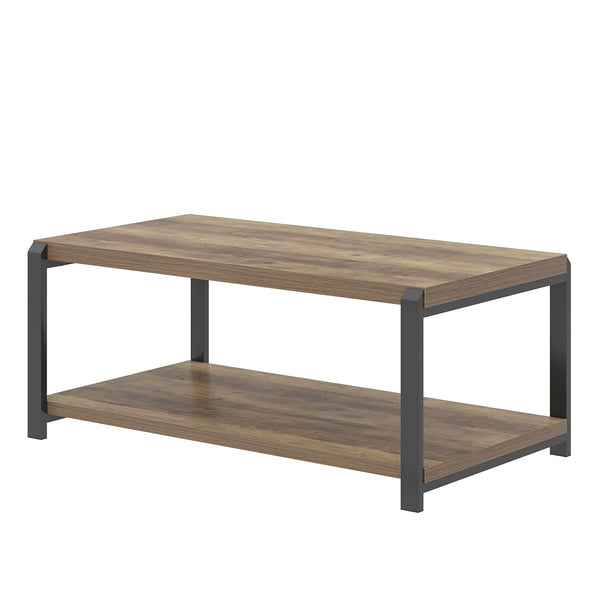 Industrial Rectangle Coffee Table with Storage Shelf