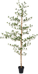 Artificial Olive Tree with Real Wood Trunk
