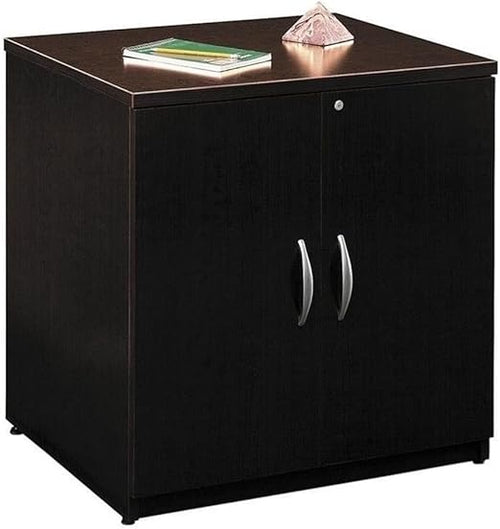 Storage Cabinet with 2 Doors & 4 Shelves