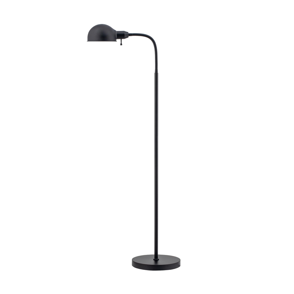 Adjustable Gooseneck Floor Lamp with Rotatable Shade