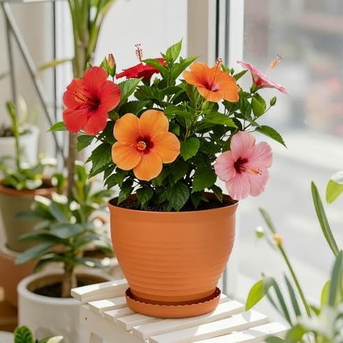 Large Round Plastic Planters with Drainage and Saucers – Set of 2
