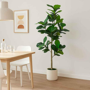 Artificial Fiddle Leaf Fig Tree with White Planter