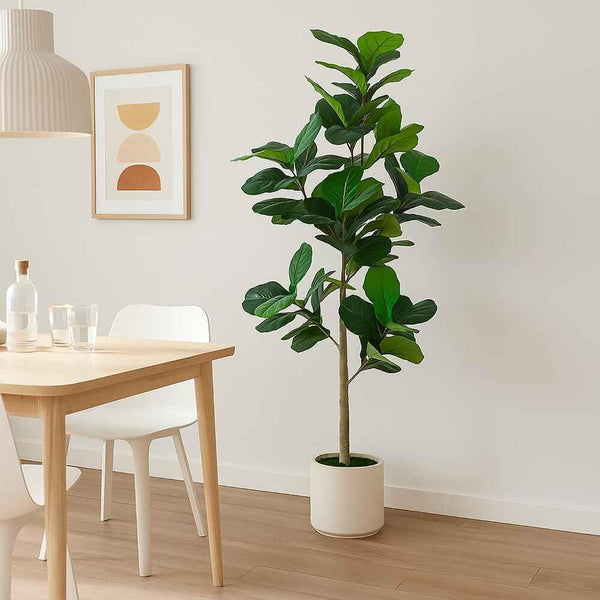 Artificial Fiddle Leaf Fig Tree with White Planter