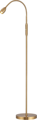 Adjustable LED Beam Floor Lamp with Flexible Gooseneck