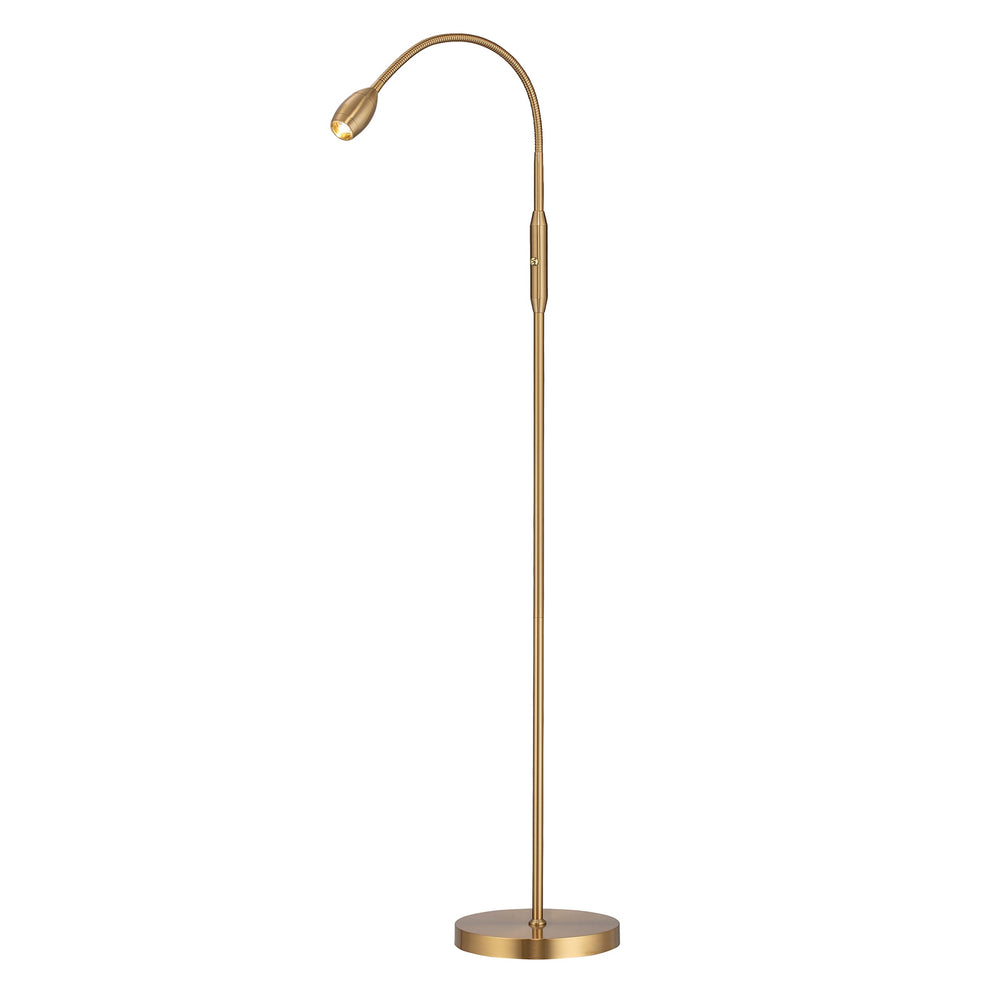 Adjustable LED Gooseneck Floor Lamp – Dimmable Zoomable Spotlight