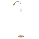 Adjustable LED Gooseneck Floor Lamp – Dimmable Zoomable Spotlight