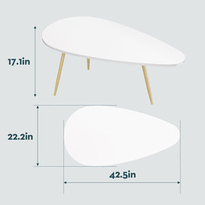 Oval Coffee Table for Living Room