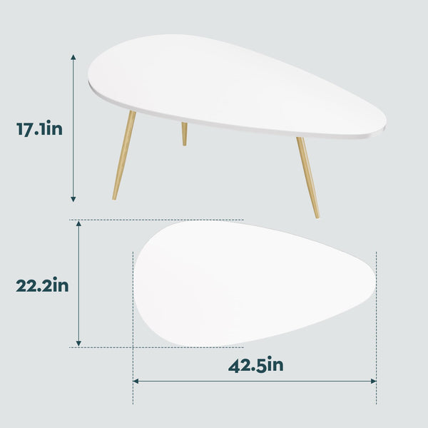 Oval Coffee Table for Living Room
