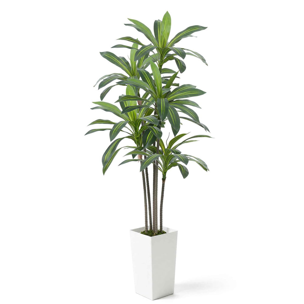Artificial Dracaena Tree with White Pot & Moss