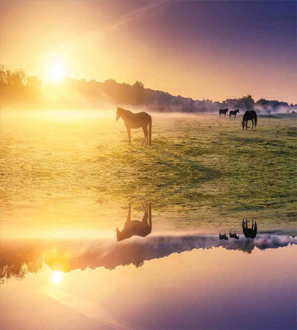 Queen Duvet Cover Set – Horse Valley Nature Print, Pale Yellow