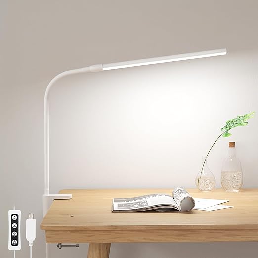 Clip-On LED Desk Lamp with Gooseneck & USB Power