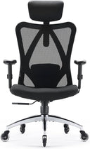 High Back Ergonomic Mesh Office Chair with Adjustable Headrest & Lumbar Support