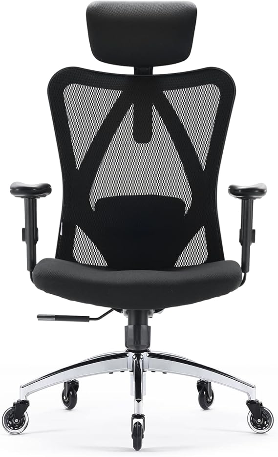 High Back Ergonomic Mesh Office Chair with Adjustable Headrest & Lumbar Support