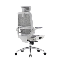Ergonomic Mesh Office Chair with 3D Flip-Up Armrests & Dual Back Support