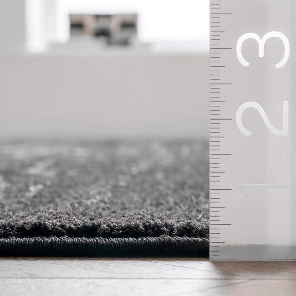 Vintage Medallion Area Rug 10x14 – Polypropylene Indoor Rug, Black & Grey