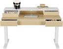Electric Standing Desk with Drawers & Monitor Shelf, 48 Inch