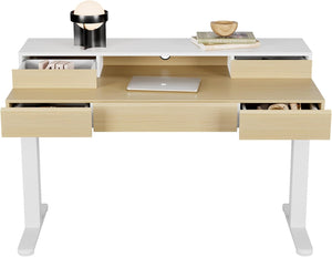 Electric Standing Desk with Drawers & Monitor Shelf, 48 Inch