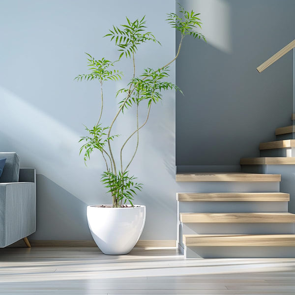 Tall Artificial Mahonia Tree – Indoor Fake Potted Plant