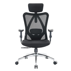 High Back Ergonomic Mesh Office Chair with Adjustable Headrest & Lumbar Support