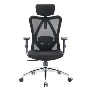 High Back Ergonomic Mesh Office Chair with Adjustable Headrest & Lumbar Support