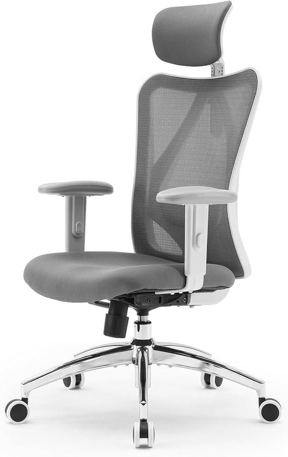 High Back Ergonomic Mesh Office Chair with Adjustable Headrest & Lumbar Support