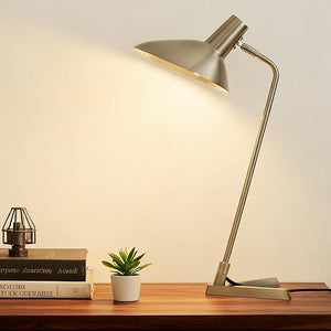 22" Industrial Metal Desk Lamp with Adjustable Neck & Stepless Dimmer