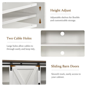 Farmhouse Barn Door TV Stand with Storage
