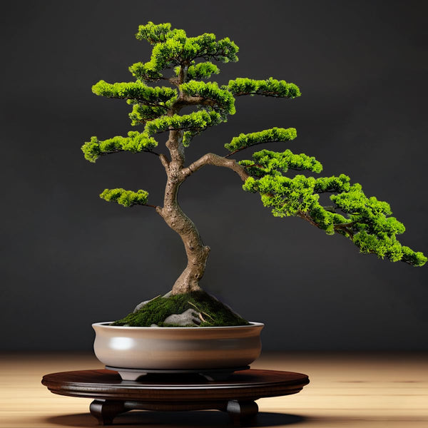Artificial Bonsai Tree with Ceramic Pot — Indoor Faux Juniper Plant Decor
