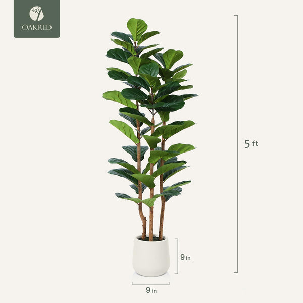 Artificial Fiddle Leaf Fig Tree with White Planter – 5ft, 6ft, 7ft