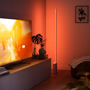 Smart Gradient Floor Lamp with Color Ambiance