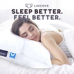 Canadian White Down Luxury Sleeping Pillow – 800 Fill Power, 500TC Cotton Shell
