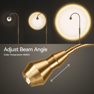 Adjustable LED Gooseneck Floor Lamp with Dimmable Zoomable Beam